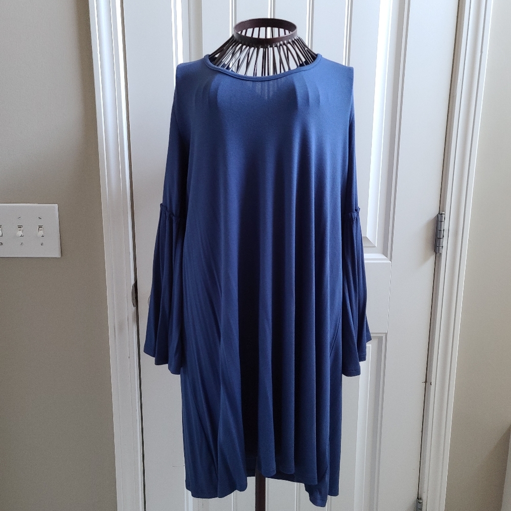 Flared Arm Blue Dress